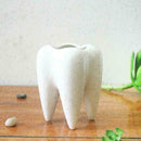 Tooth Shape White Ceramic Flower Pot Modern Design Decor Teeth Desktops Pla J7A6