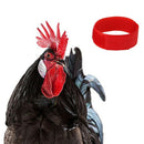 8pcs No Crow Collar for Roosters Chicken Belt Neckband Poultry Supplies