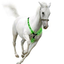 LED Horse Harness Collar Breastplate Reflective Night Riding Horse Bridle Halter