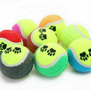 Tennis Ball Sports Tournament Outdoor Fun Cricket Beach Dog Game Gift