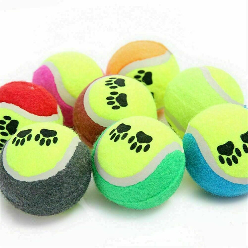 Tennis Ball Sports Tournament Outdoor Fun Cricket Beach Dog Game Gift