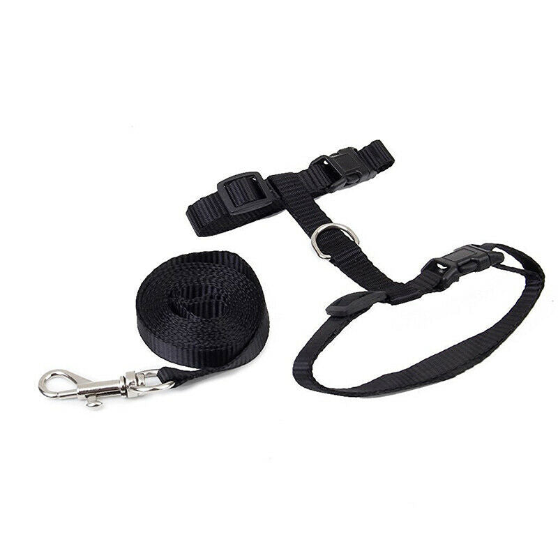 Nylon Adjustable Harness & Leash For Animals Black H1X3