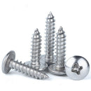 50Pcs M3* 6-14mm Truss Head Sheet Metal Self Tapping Screw Kit A4 316 Stainless