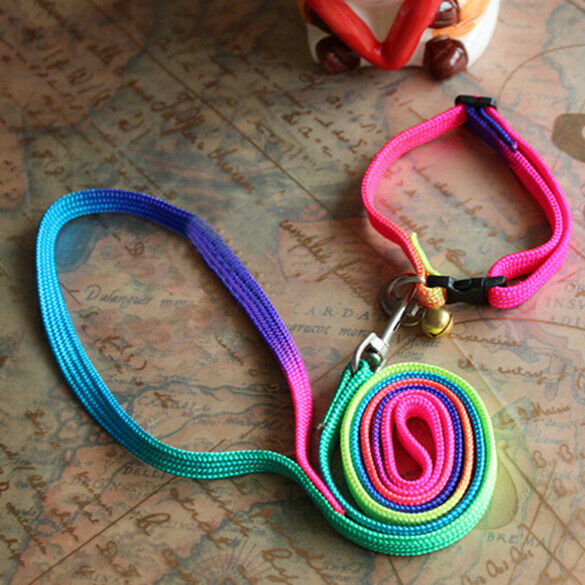 Strengthen Colorful Pets Puppy Lead Harness Leash Traction Rope Nylon A