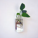 Clear Ball Shape Glass Flower Vase Plant Bottle Home Decor Terrarium Home Office