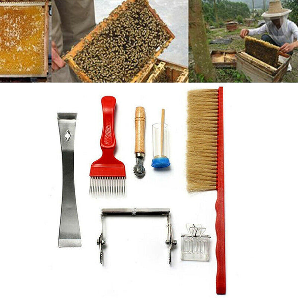 7pcs Beekeeping Beekeeping Tool Beehive Nest Box Dedicated Function BWY