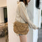 Summer Straw Tassel Shoulder Bag Women Beach Messenger Satchel Bags (Brown)
