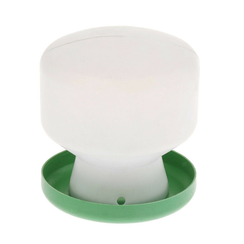 Pigeon Birds Supplies Water & Food Tools Small Parrots Pigeons Feed Feeding