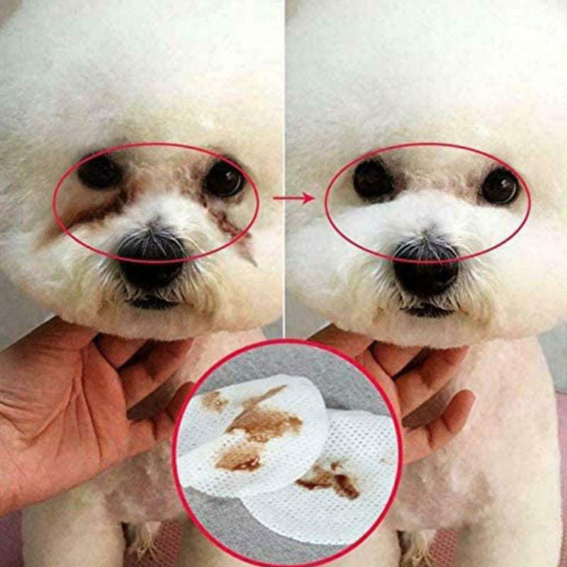 100X Pet Eye Wet Wipes Dog Cleaning Paper Towels Cat Remover Wipes Stain A6Z5