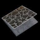seafood Embossing folders Plastic Embossing Folder For Scrapbooking DIY card  Z