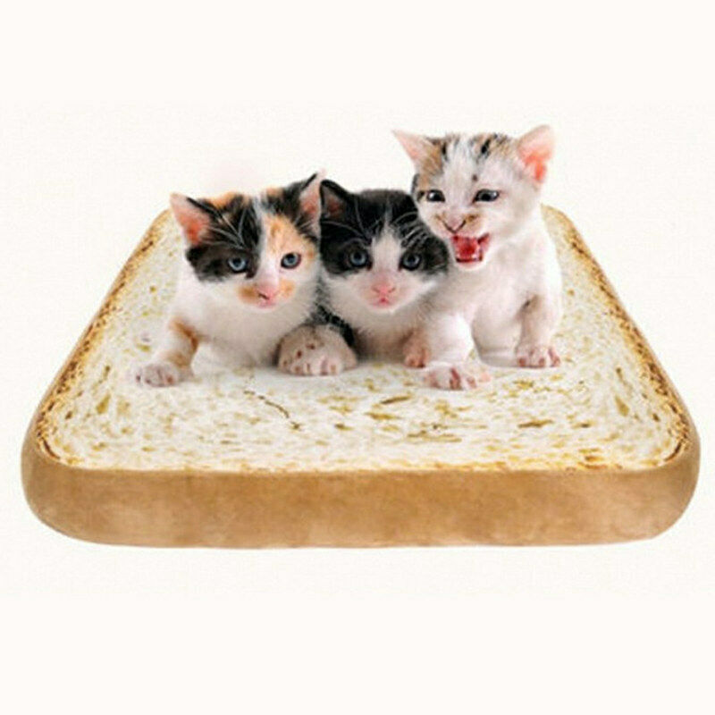 Creative Toast Bread Shape Pet Mat Cushion Sponge Soft Comfortable Pet Dog  A6M5