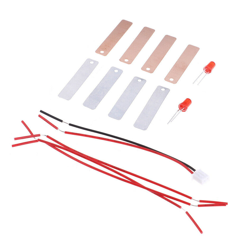 1Set`Children Bio Energy Science Kit Potato Fruit Supply Electricity Experiment~