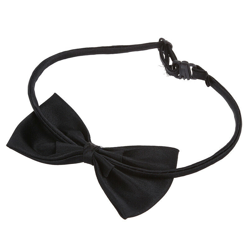 Pet Cat Dog Bow Tie - black