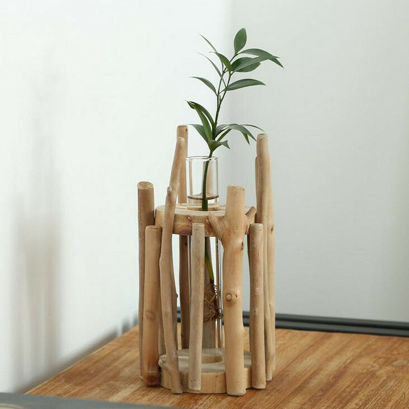 Glass Test Tube Planter Vase in Wooden Stand Flower Pot Scindapsus Container