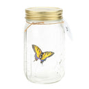 Romantic Glass LED Lamp Butterfly Jar Valentine Children Gift Decoration Ye
