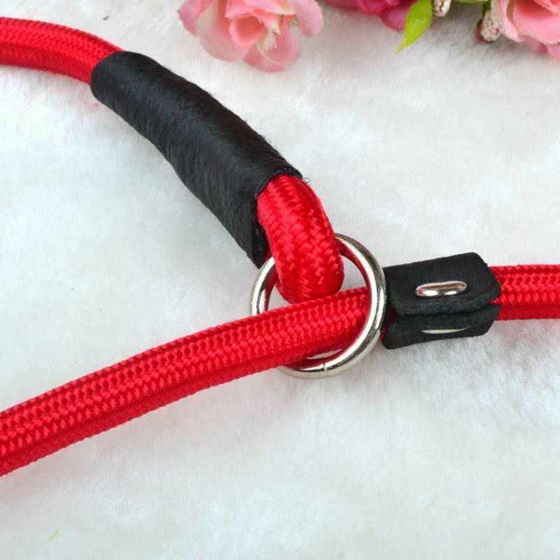 Sturdy Pet Collar Rope Nylon Dog Slip Training Walking Lead With P Chain 1c