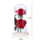 Beauty Rose and Beast Led Light With Fallen Flower Petals in a Glass Dome O
