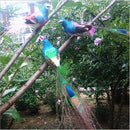 Simulation Feather Foam Peacock and Doves Birds Statue Garden Sculpture Home