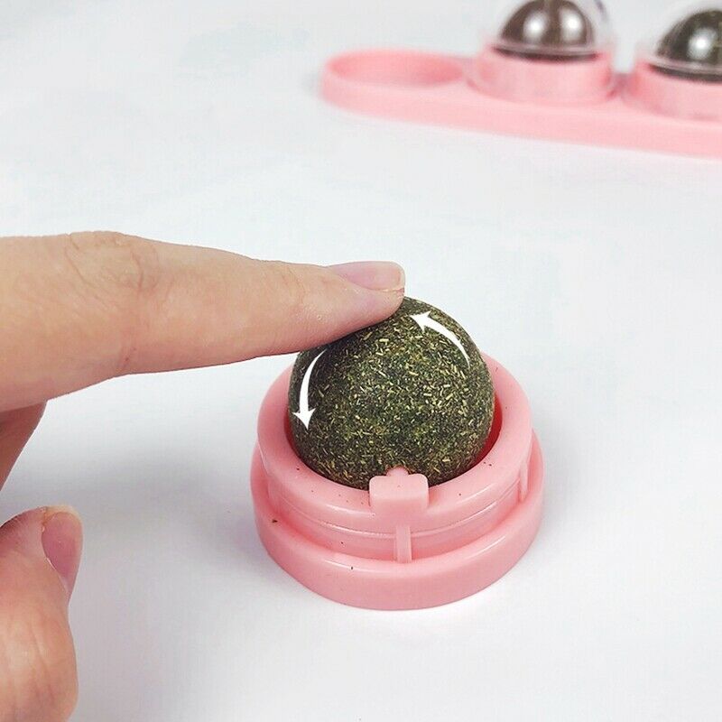 Rotated Catnip Treat Cat Ball Sugar Energy Snacks Pet Catnip Lick Ball Self