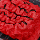 Realistic Bloody Brain Meal Box Haunted House Halloween Decorations