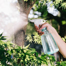 3x17oz Plant Misting Spray Bottle Clear Plant Watering Can Trigger Sprayer
