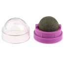 Catnip Ball Set Self-adhesive Rotated Catnip Silvervine Lick Ball For N JfJ Gw