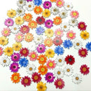 50pcs Wooden Chrysanthemums Sewing Buttons DIY Scrapbooking Clothes Decor