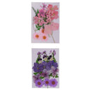 2x Multiple Pressed/Dried Leaves Flowers Scrapbooking Art Craft DIY Material