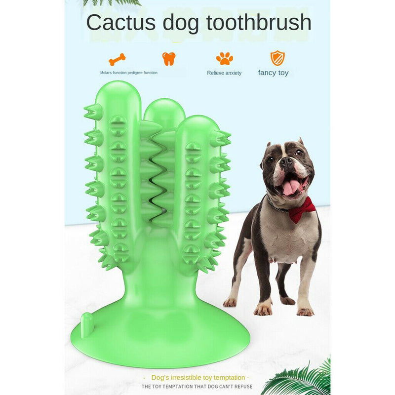 3Pieces Dog Chew Toys Teeth Cleaning Toothbrush Safe for Medium Large Dog
