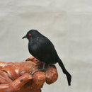 Spooky Black Feathered Lifelike Scary Halloween Raven Crow Prop Decor for G V3C3