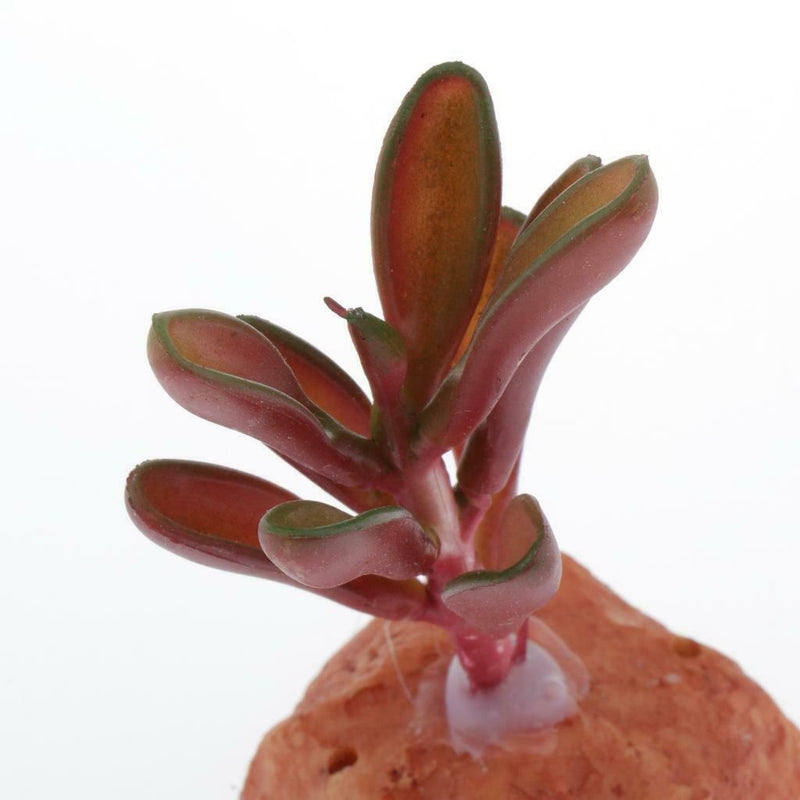 2pcs Aquarium Landscaping Artificial Plants Succulents Reptile Hideaway