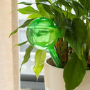 Automatic Watering Device Gardening Flower Growing Tool Lazy Flower Pot Dri R6M9