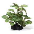 Aquarium Plastic Ficus Tree Fish Tank Underwater Plants Decorations Ornament
