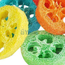 2pcs Pet Puppy Dog Cat Natural Environmental Loofah Tooth Cleaning pet Ch D V1I3