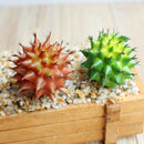 2pcs Artificial Plants for Home Decor Indoor Landscape Succulent Cactus
