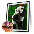 5D DIY Full Drill Diamond Painting Panda Cross Stitch Embroidery (C1159)