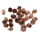 80 Mini Dried Flowers Plant Fruits Christmas Accents Wedding Decor Ornaments
