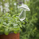 2 Shapes Mushroom&Bird Automatic Glass Watering Device for Flower Plants