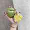 Soft Silicone Durian Fruit Pattern Protective Case Shockproof Cover for Airpods