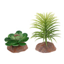2x Water Plants Aquarium Ornament Landscape Reptiles