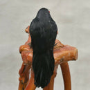 Spooky Black Feathered Lifelike Scary Halloween Raven Crow Prop Decor for G L7G9