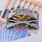 Western Steer Eagle Platinum Color Beauty Cowboy Rodeo Style Belt BuckleB Bj