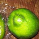 1PCS 9.5CM Artificial Simulation fruit Lemon Kindergarten Garden Family Kit