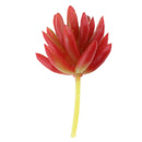 Set of 2 Artificial Succulent Flower Real Touch Simulation Faux Plant 309