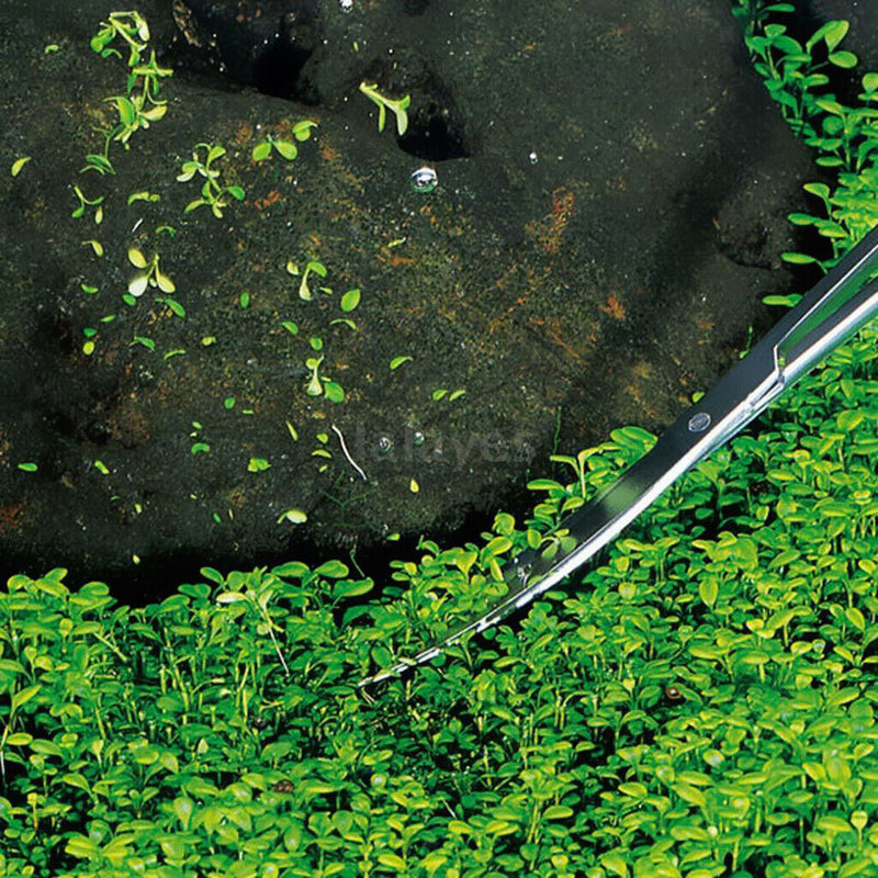 1 Set Assorted Stainless Steel Aquarium Tweezers Scissors Aquascaping Tools