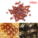 120pcs beekeeping queen cell brown bee feeding tools applicable to beekeepers Gw