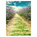 Photography Background Village Lane Wall Studio Props Backdrop Fabric Decor A