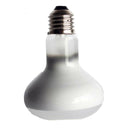 2 pcs 50/75W Day Light Basking Heat Spot Lamp Bulb Heater Animal Reptile