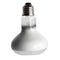 2 pcs 50/75W Day Light Basking Heat Spot Lamp Bulb Heater Animal Reptile