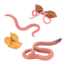 3x Realistic Nature Life Cycle Animal Growth Child Education Toys